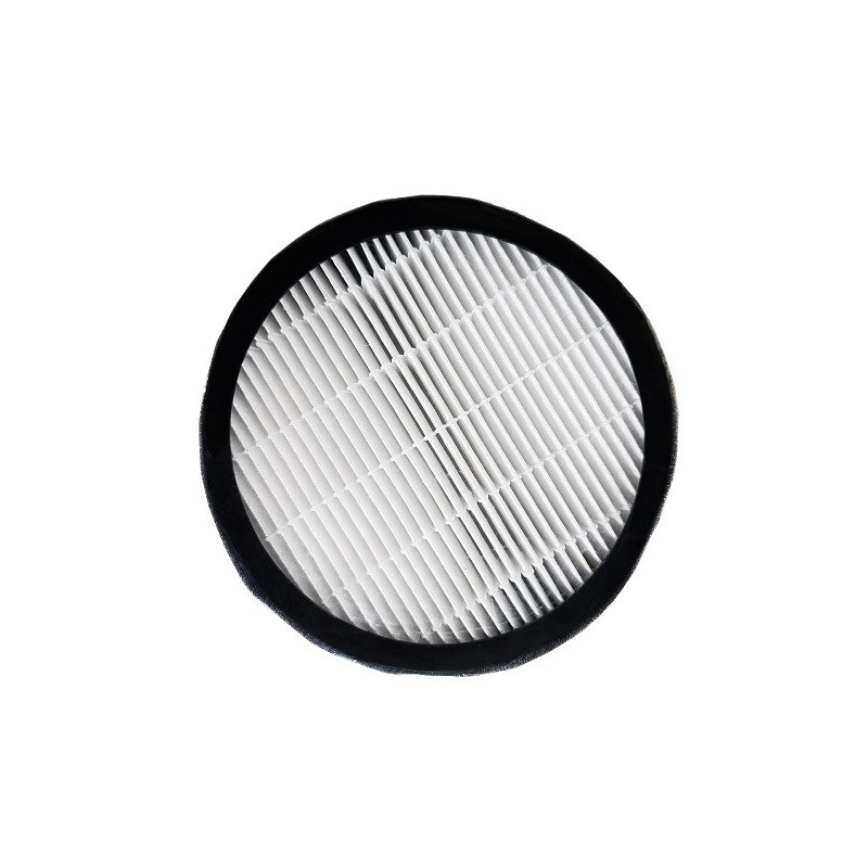Recuperator F7 (MERV 13) filter