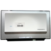 Screen 17.3", 1920x1080, 300Hz, matte, 40pin, right, IPS