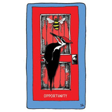 Hay House Animal Apothecary Oracle Kortos