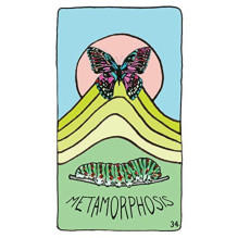 Hay House Animal Apothecary Oracle Cards