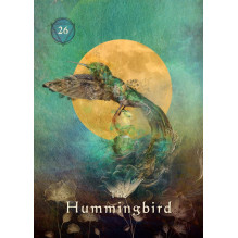 Hay House Mystical Shaman Pocket Oracle Kortos Dėžutėje