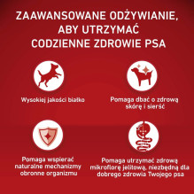 Šunų maistas - PURINA One Adult Medium / Maxi Beef with Rice 12kg