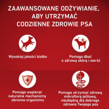 Šunų maistas - PURINA One Adult Medium / Maxi Chicken &amp; Rice 12kg