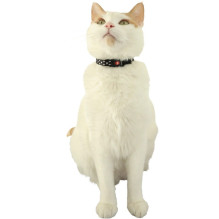 Gyvūnų aksesuarai - ZOLUX Chatouille 20mm katėms iki 200g juoda