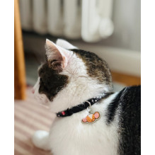 Gyvūnų aksesuarai - ZOLUX Chatouille 20mm katėms iki 200g juoda