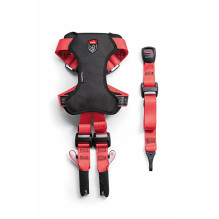 Gyvūnų diržas - ZOLUX Travel Safe M, reguliuojamas, 10-25 kg, kaklas 40-66 cm, raudonas