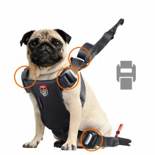 Gyvūnų diržas - ZOLUX Travel Safe S Reguliuojamas 30-55cm 5-10kg Juodas