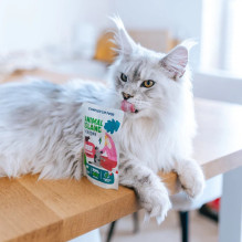 Gyvūnų maistas - ANIMAL ISLAND jautiena sultinyje šlapias kačių maistas 40x85g be grūdų