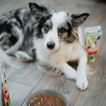 Gyvūnų maistas - ANIMAL ISLAND Kalakutiena Jautienos filė sultinyje 8x150g