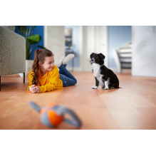 „Philips FC9744 / 09“ pažeista dėžutė