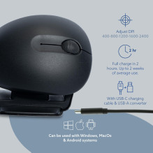 MOUSE USB OPTICAL WRL TWISTER / BLACK RGOTWBMWLBL R-GO TOOLS