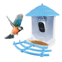 Smart bird feeder PNI MyBird PT035 with 4MP Wi-Fi camera and 3W solar panel, 2l food tank, dedicated application, motion