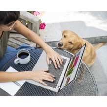 ASUS Vivobook 14 M1407GA-LY012W Ryzen AI 7 445 14.0" WUXGA IPS-level 60Hz 300nits AG 16GB DDR5 SSD512 Cam1080 42WHr