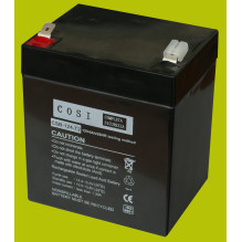 12V 4.5Ah battery :: AGM : VRLA :: 12 Volts, 4.5 Amp-hours (Ah) :: Terminal type T1 (4.75mm)