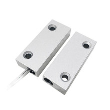 Laidinis magnetinis...