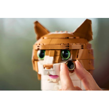 LEGO IDEAS 21376 Orange Cat