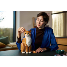 LEGO IDEAS 21376 Orange Cat