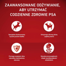 PURINA One Sensitive Mini / Small Rich in beef with rice - dry dog food - 1,5kg