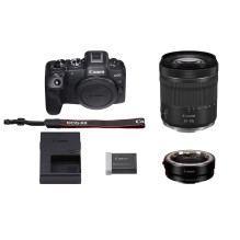 Canon EOS R8 + RF 24-105mm f / 4-7.1 IS STM + Mount Adapter EF-EOS R