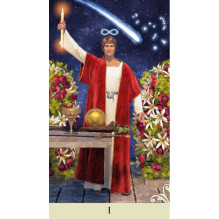 Lo Scarabeo Vice Versa Tarot Cards