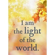 Hay House Everyday Miracles Cards