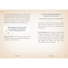 Harry Potter magical meditations kortos Insight Editions