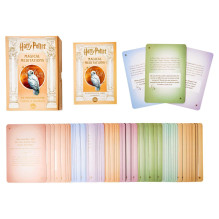 Harry Potter magical meditations cards Insight Editions