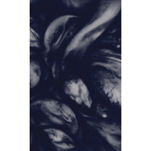 Llewellyn The River Oracle Kortos