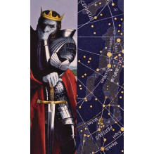 Llewellyn The River Oracle Cards