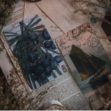 Llewellyn The River Oracle Cards