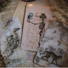 Llewellyn The River Oracle Kortos