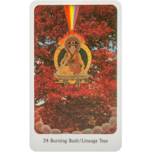 Orakulo Kortos The Tantric Dakini Destiny Books