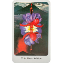 Oracle Cards The Tantric Dakini Destiny Books