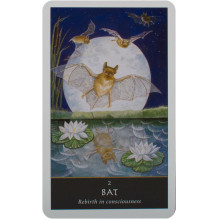 Welbeck Publishing The Witches Oracle Cards