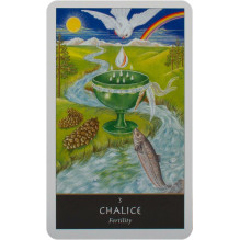 Welbeck Publishing The Witches Oracle Kortos