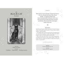 Welbeck Publishing The Witches Oracle Cards