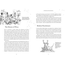 Welbeck Publishing The Witches Oracle Kortos