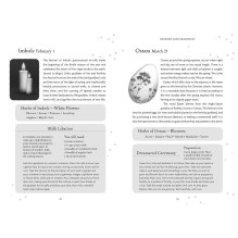 Welbeck Publishing The Witches Oracle Kortos