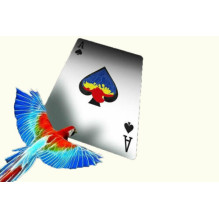 Difatta Infinity Playing Cards Kortos