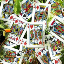 Difatta Infinity Playing Cards Cards