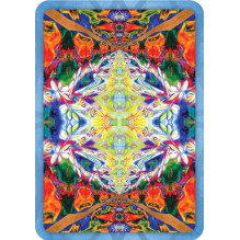 Rockpool Buddha Dhamma Oracle Kortos