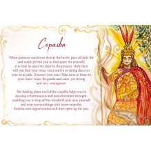 Oracle Cards Essential Oils Earth Dancer