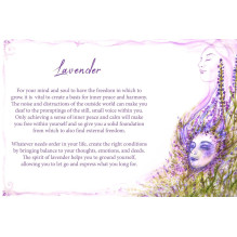 Oracle Cards Essential Oils Earth Dancer