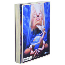 Blue Angel Lightworker Užrašinė