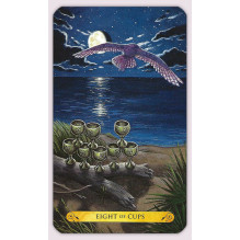 Llewellyn Tarot Of The Owls Kortos
