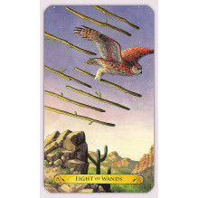 Llewellyn Tarot Of The Owls Kortos