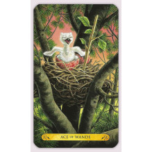 Llewellyn Tarot Of The Owls Kortos