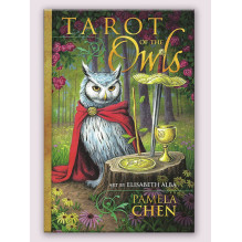 Llewellyn Tarot Of The Owls Kortos