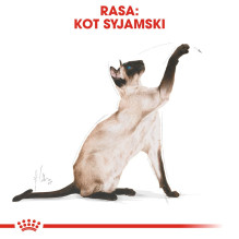 Sausas Kačių Maistas - Royal Canin Siamese Suaugusiems 2 kg