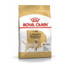 Dry Dog Food - Royal Canin...